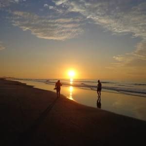 Meet your Posher, Audrey